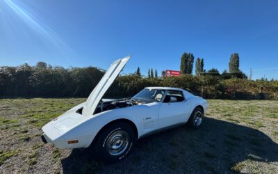 Chevrolet Corvette 1976