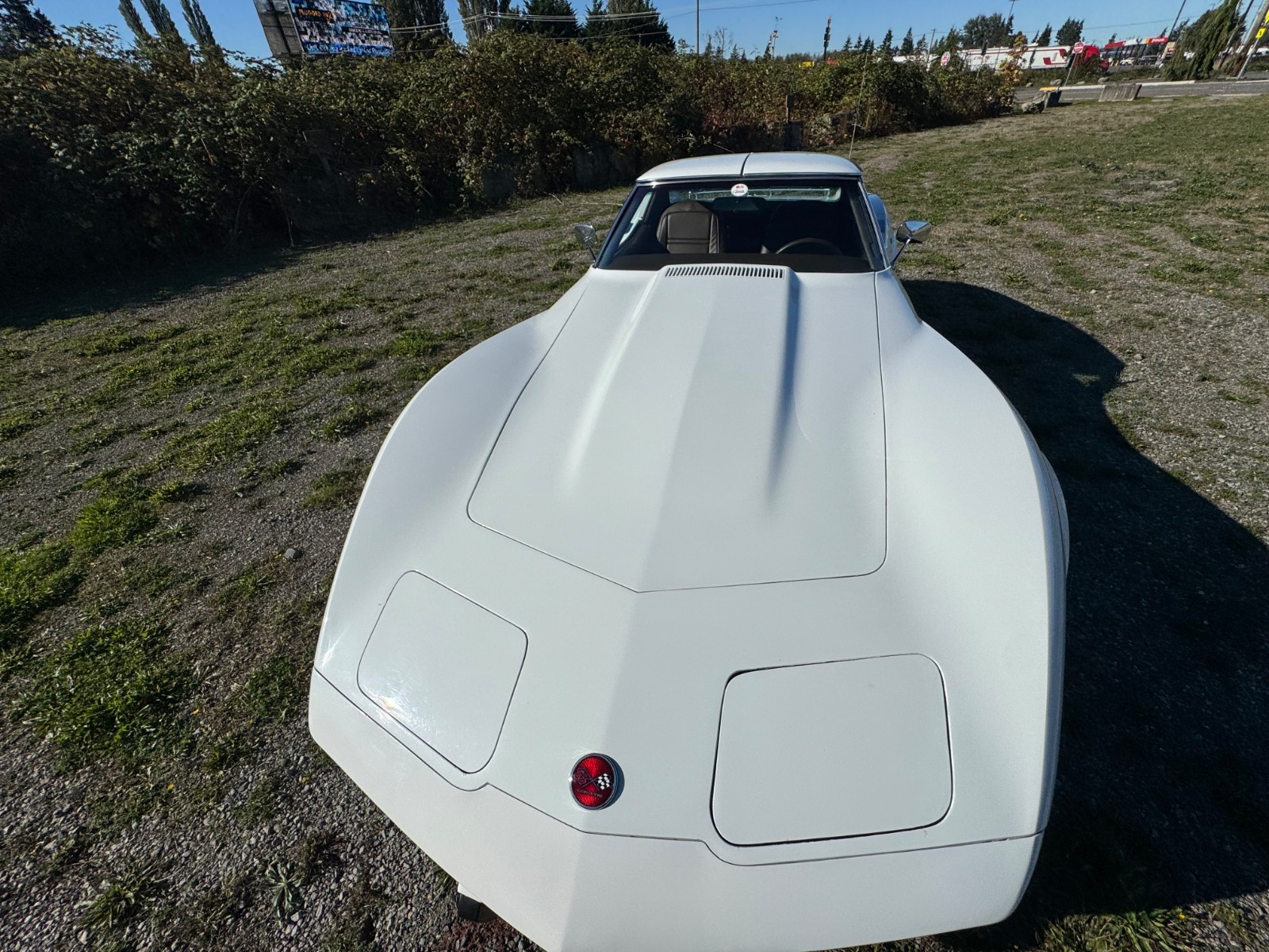 Chevrolet-Corvette-1976-5