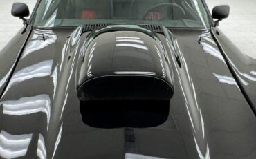Chevrolet-Corvette-1976-Black-Black-7