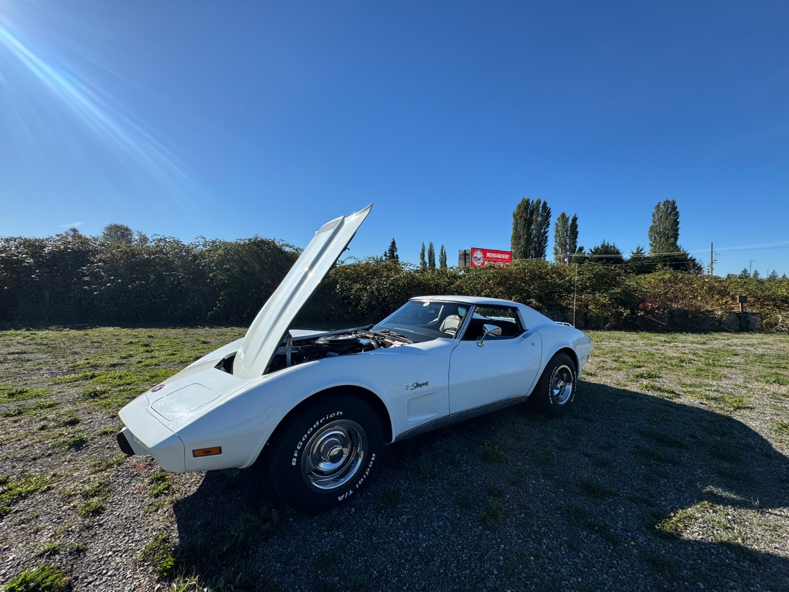 Chevrolet Corvette 1976