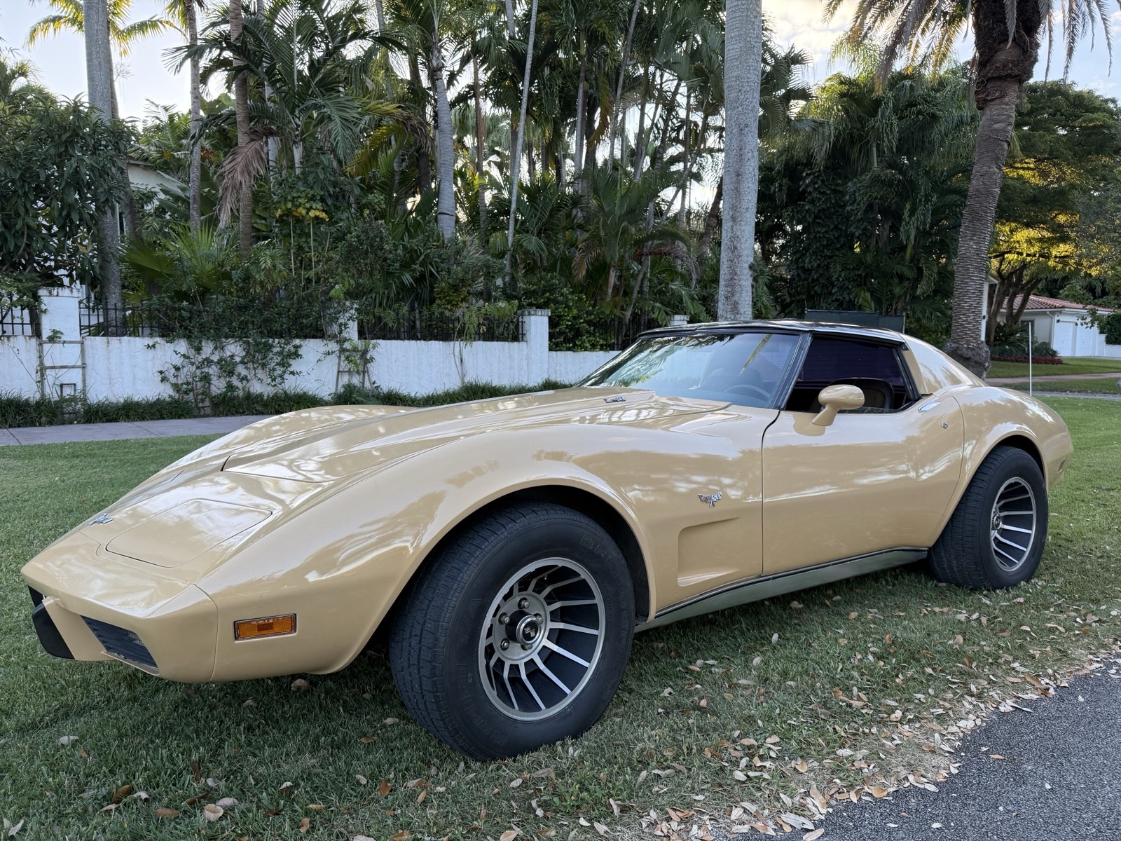 Chevrolet-Corvette-1977-1