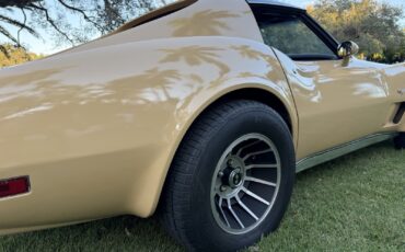 Chevrolet-Corvette-1977-10