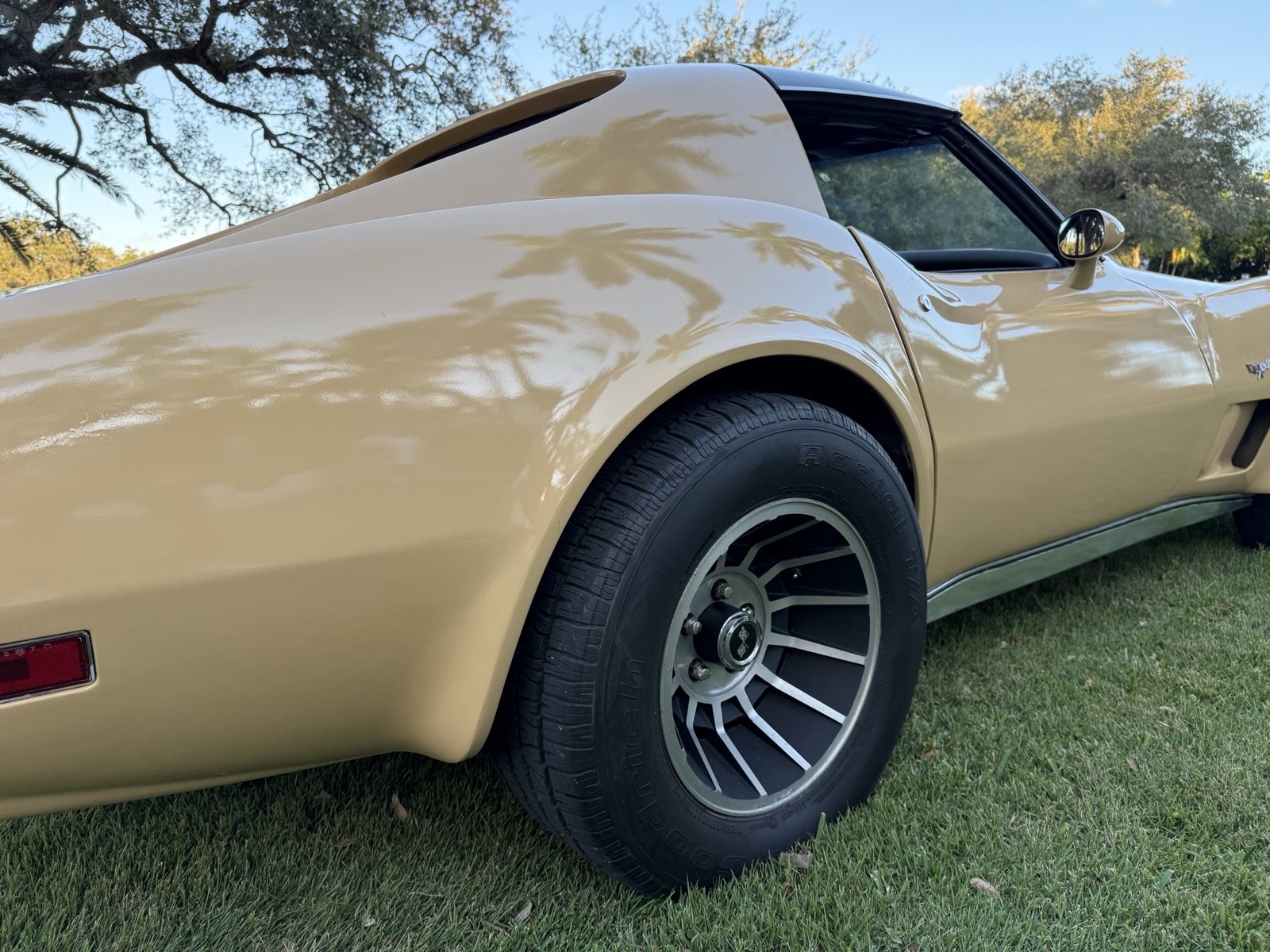 Chevrolet-Corvette-1977-10