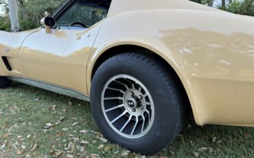 Chevrolet-Corvette-1977-11