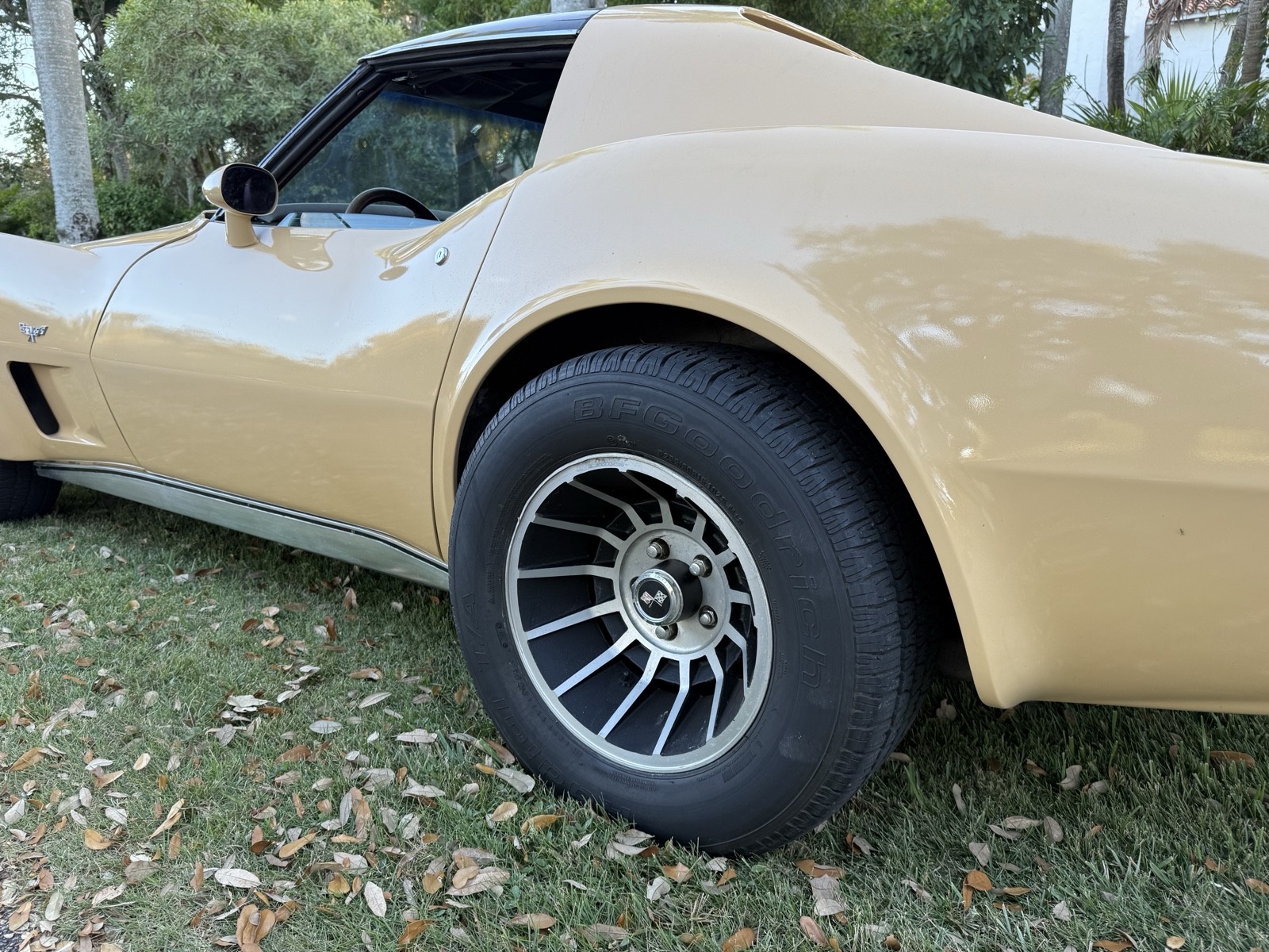 Chevrolet-Corvette-1977-11