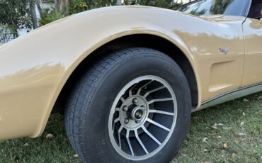 Chevrolet-Corvette-1977-12