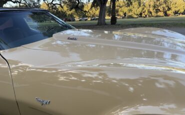 Chevrolet-Corvette-1977-13