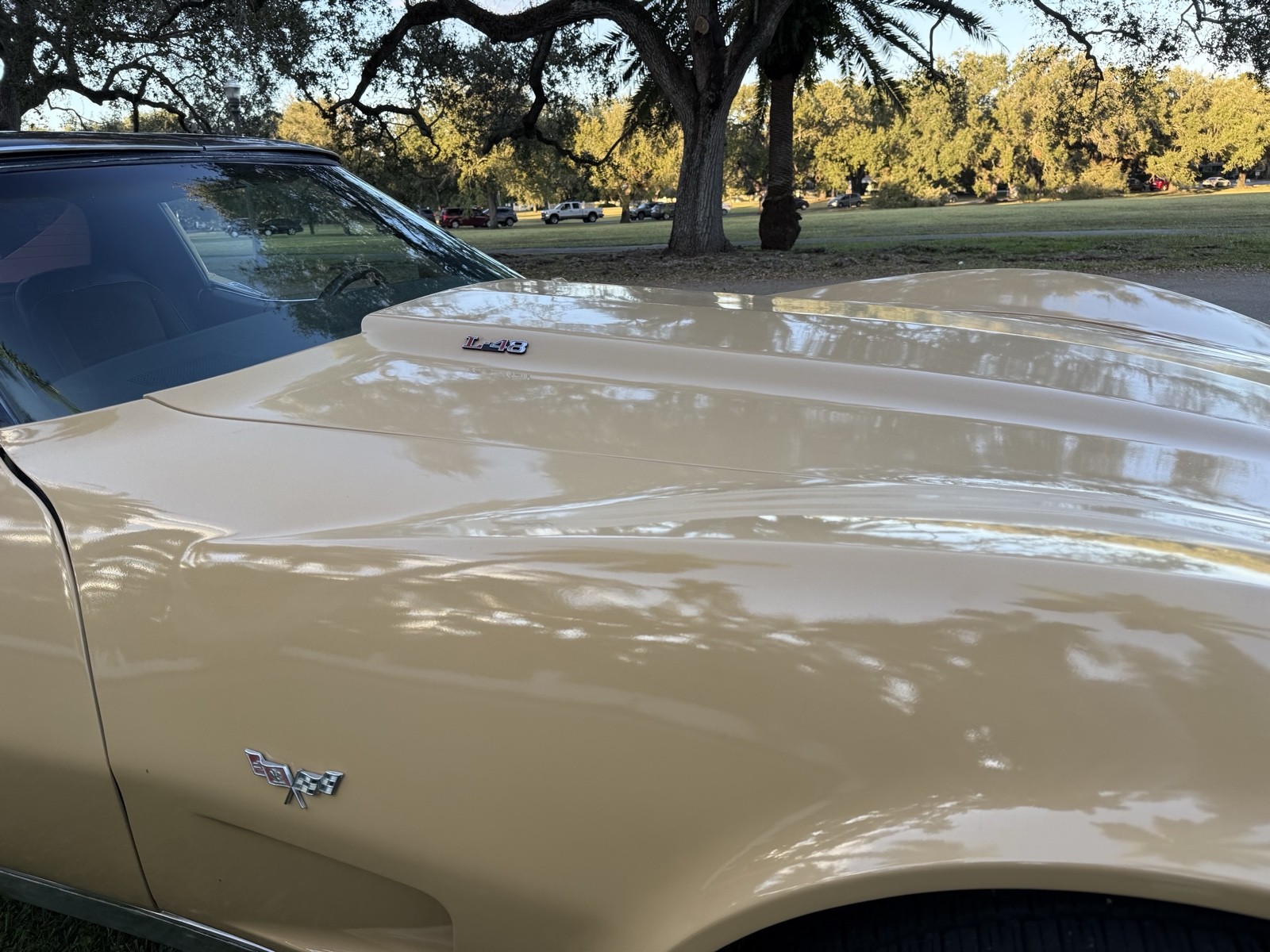 Chevrolet-Corvette-1977-13