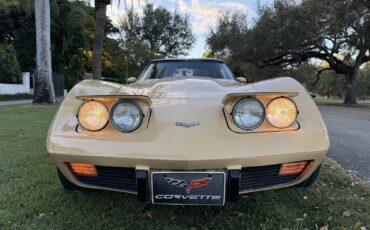 Chevrolet-Corvette-1977-14