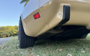 Chevrolet-Corvette-1977-15