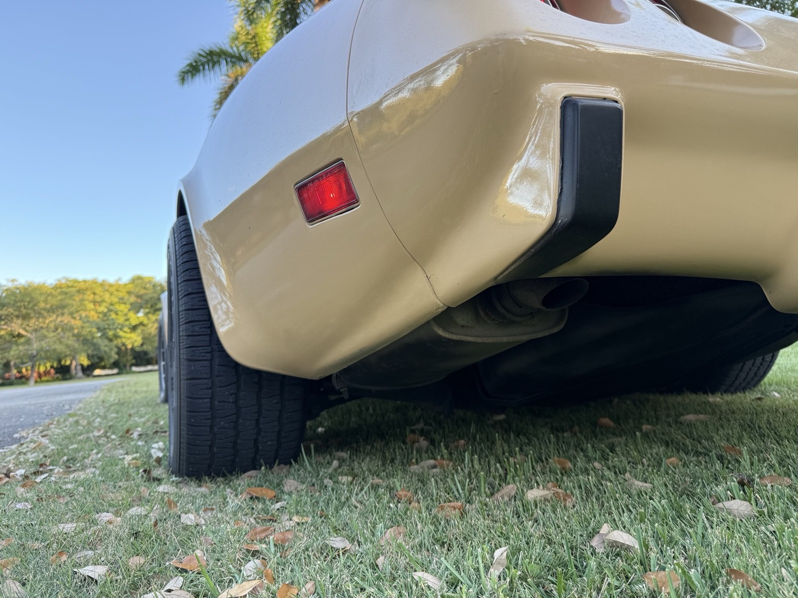 Chevrolet-Corvette-1977-15