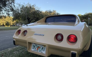 Chevrolet-Corvette-1977-16
