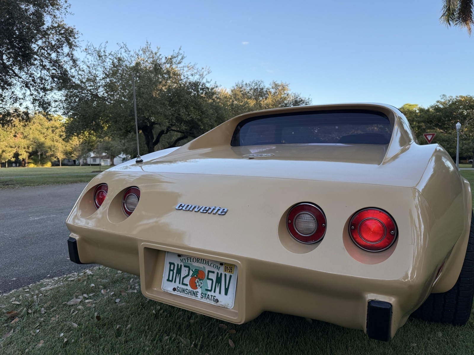 Chevrolet-Corvette-1977-16