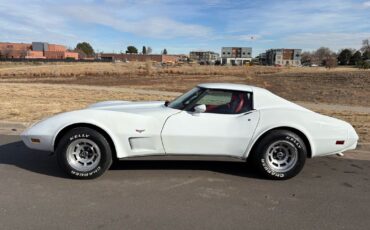 Chevrolet-Corvette-1977-16