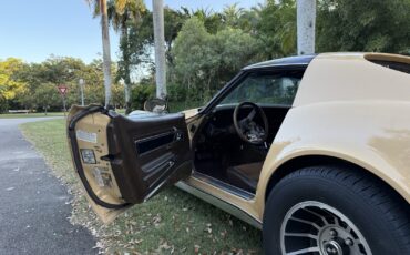Chevrolet-Corvette-1977-17