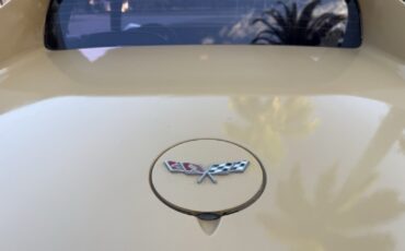 Chevrolet-Corvette-1977-19