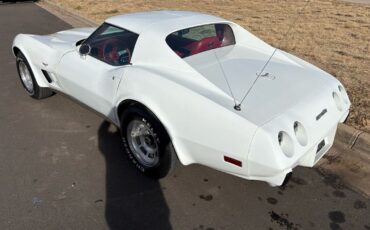 Chevrolet-Corvette-1977-19