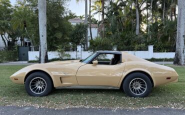 Chevrolet-Corvette-1977-2