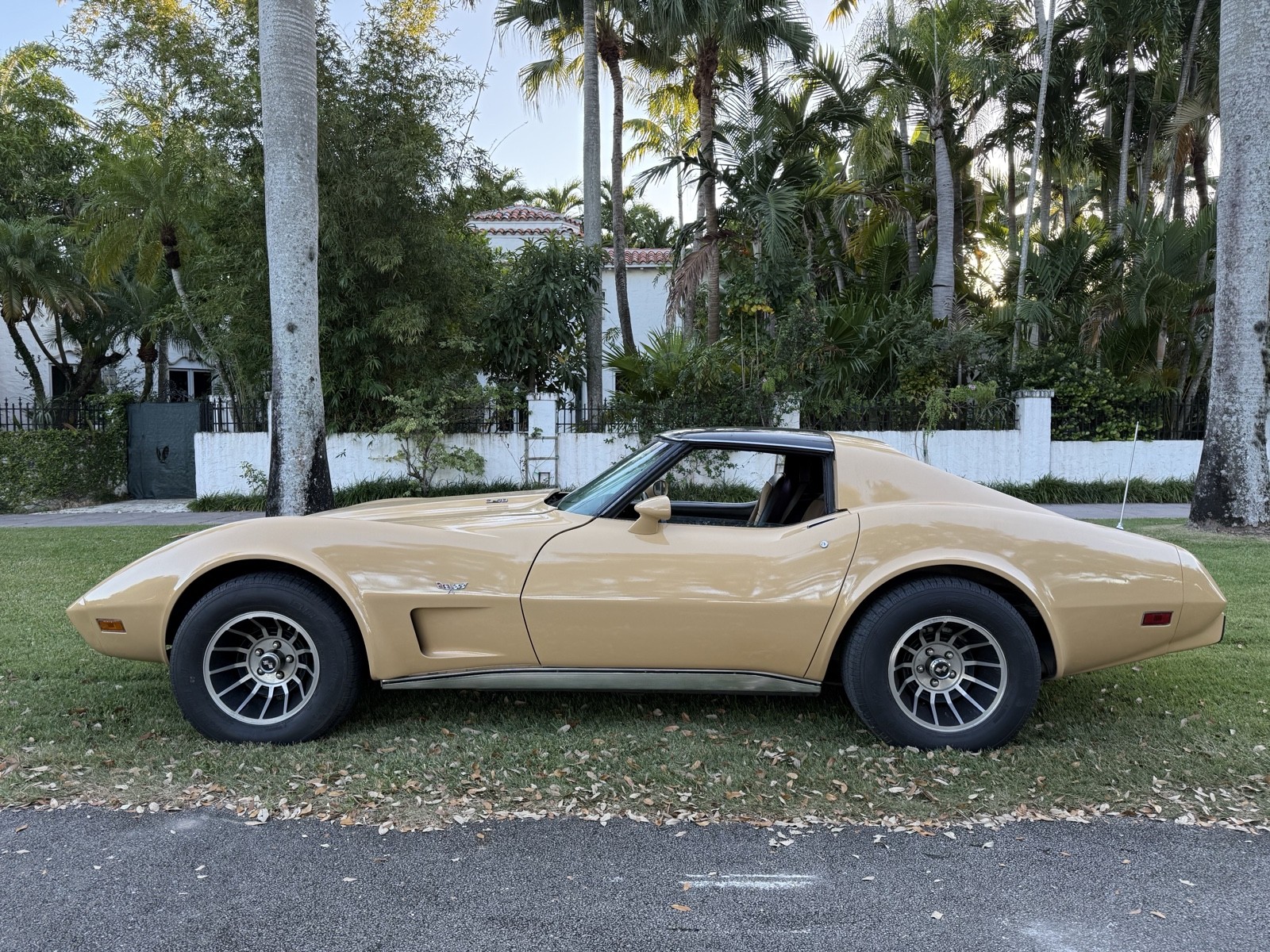Chevrolet-Corvette-1977-2