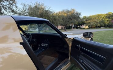 Chevrolet-Corvette-1977-20