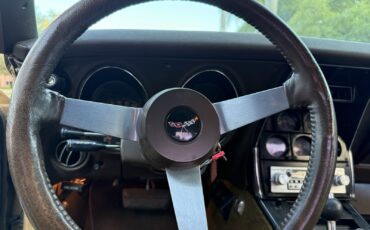 Chevrolet-Corvette-1977-23