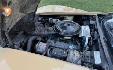 Chevrolet-Corvette-1977-25