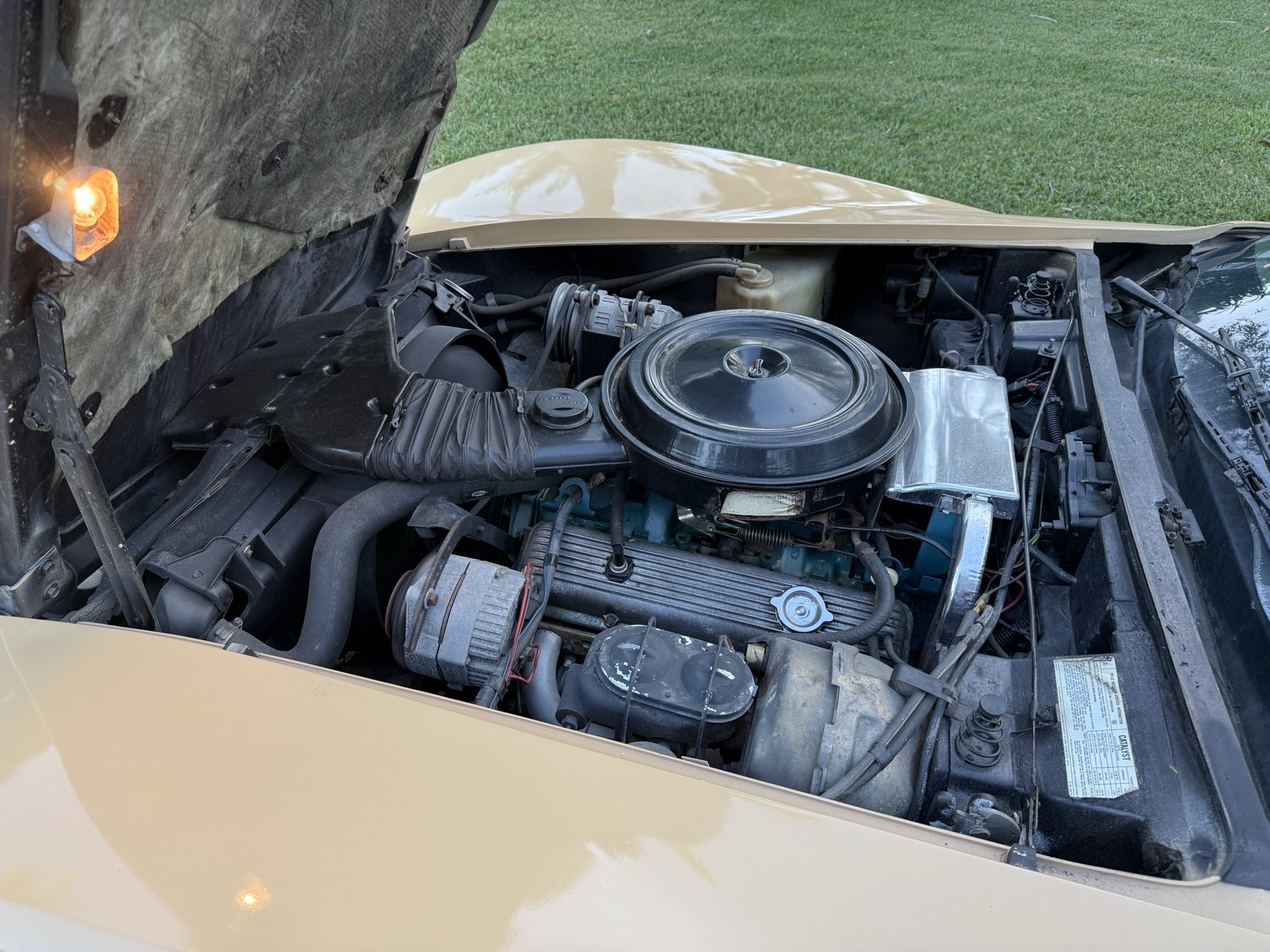 Chevrolet-Corvette-1977-25