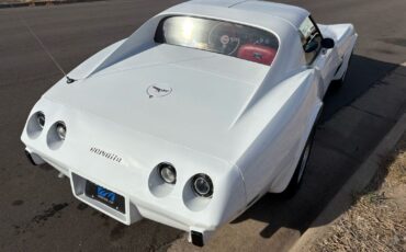 Chevrolet-Corvette-1977-25