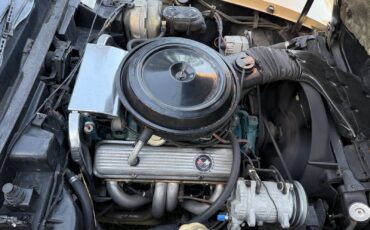 Chevrolet-Corvette-1977-26