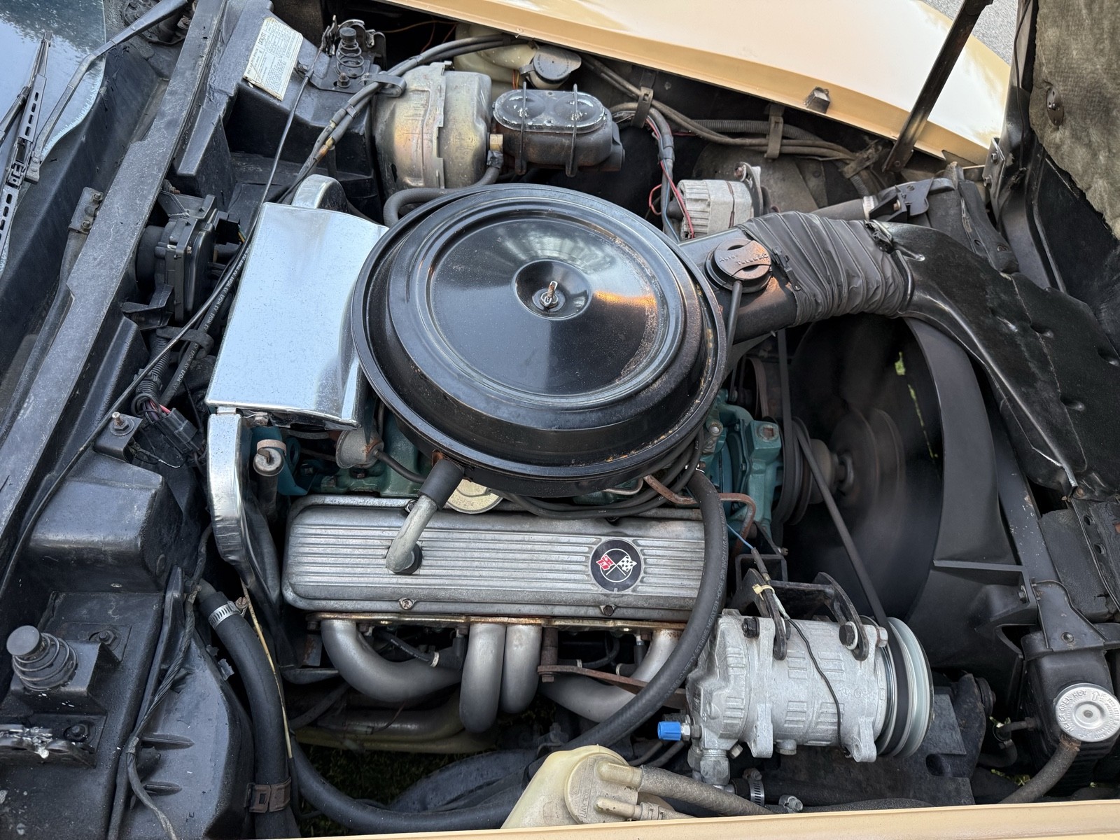 Chevrolet-Corvette-1977-26