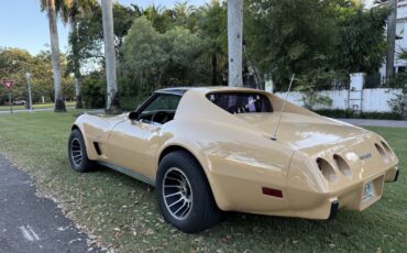 Chevrolet-Corvette-1977-3