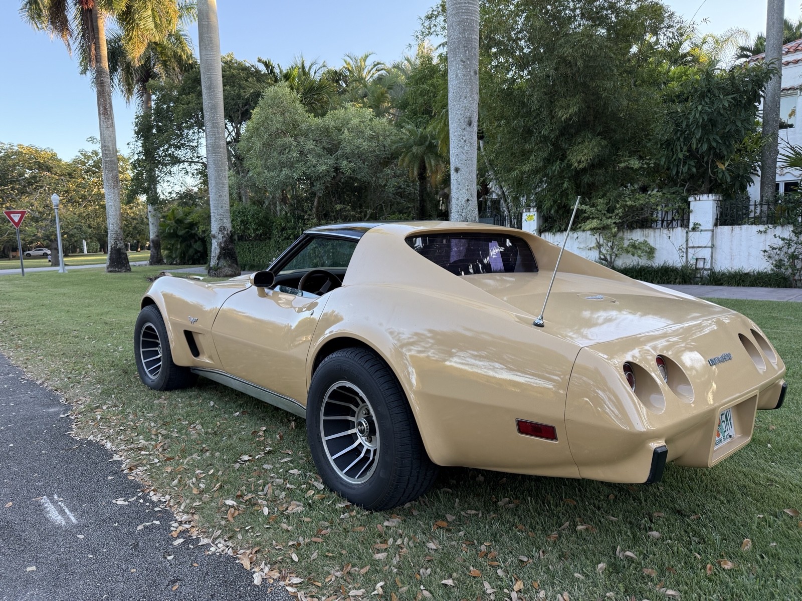 Chevrolet-Corvette-1977-3