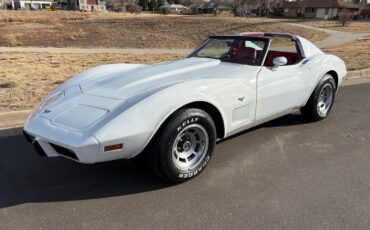 Chevrolet-Corvette-1977-31