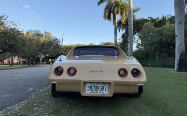 Chevrolet-Corvette-1977-4