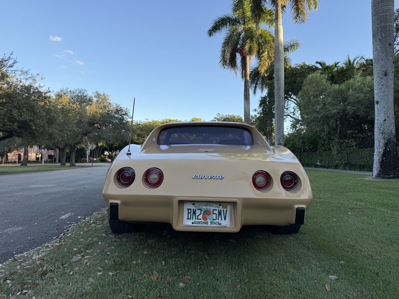 Chevrolet-Corvette-1977-4