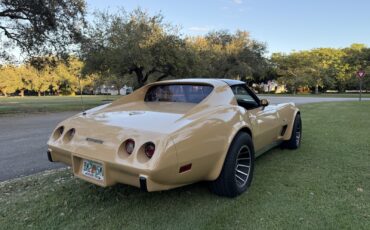 Chevrolet-Corvette-1977-5