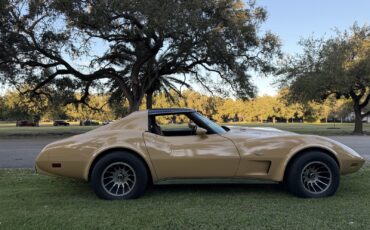 Chevrolet-Corvette-1977-6