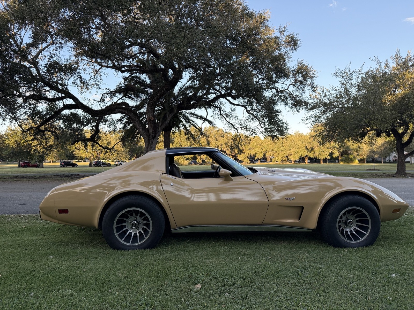 Chevrolet-Corvette-1977-6