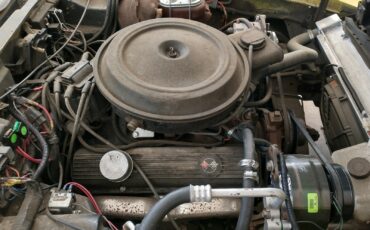 Chevrolet-Corvette-1977-7