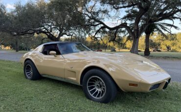 Chevrolet-Corvette-1977-7