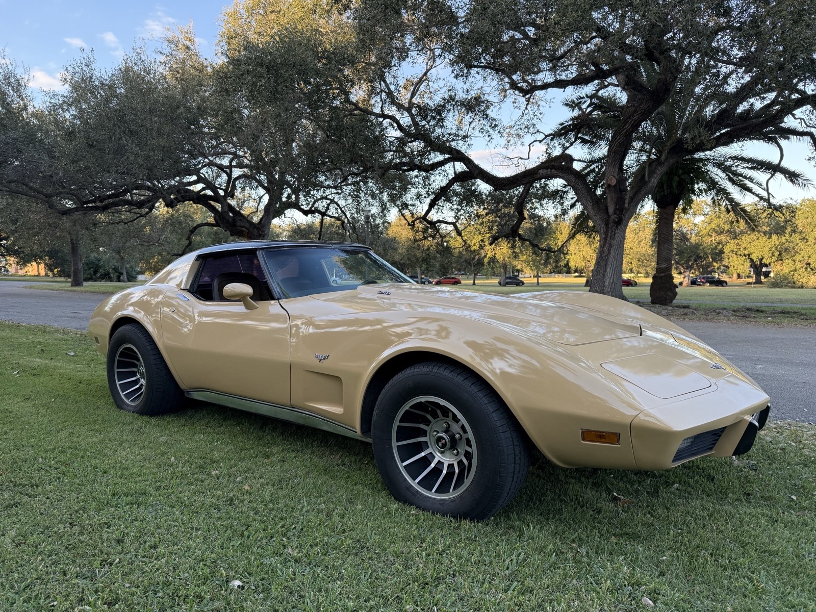 Chevrolet-Corvette-1977-7