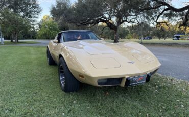 Chevrolet-Corvette-1977-8