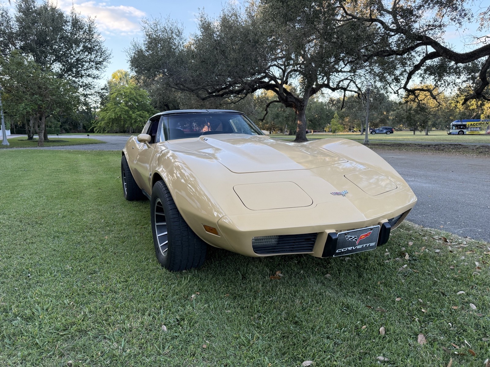 Chevrolet-Corvette-1977-8