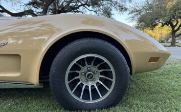 Chevrolet-Corvette-1977-9