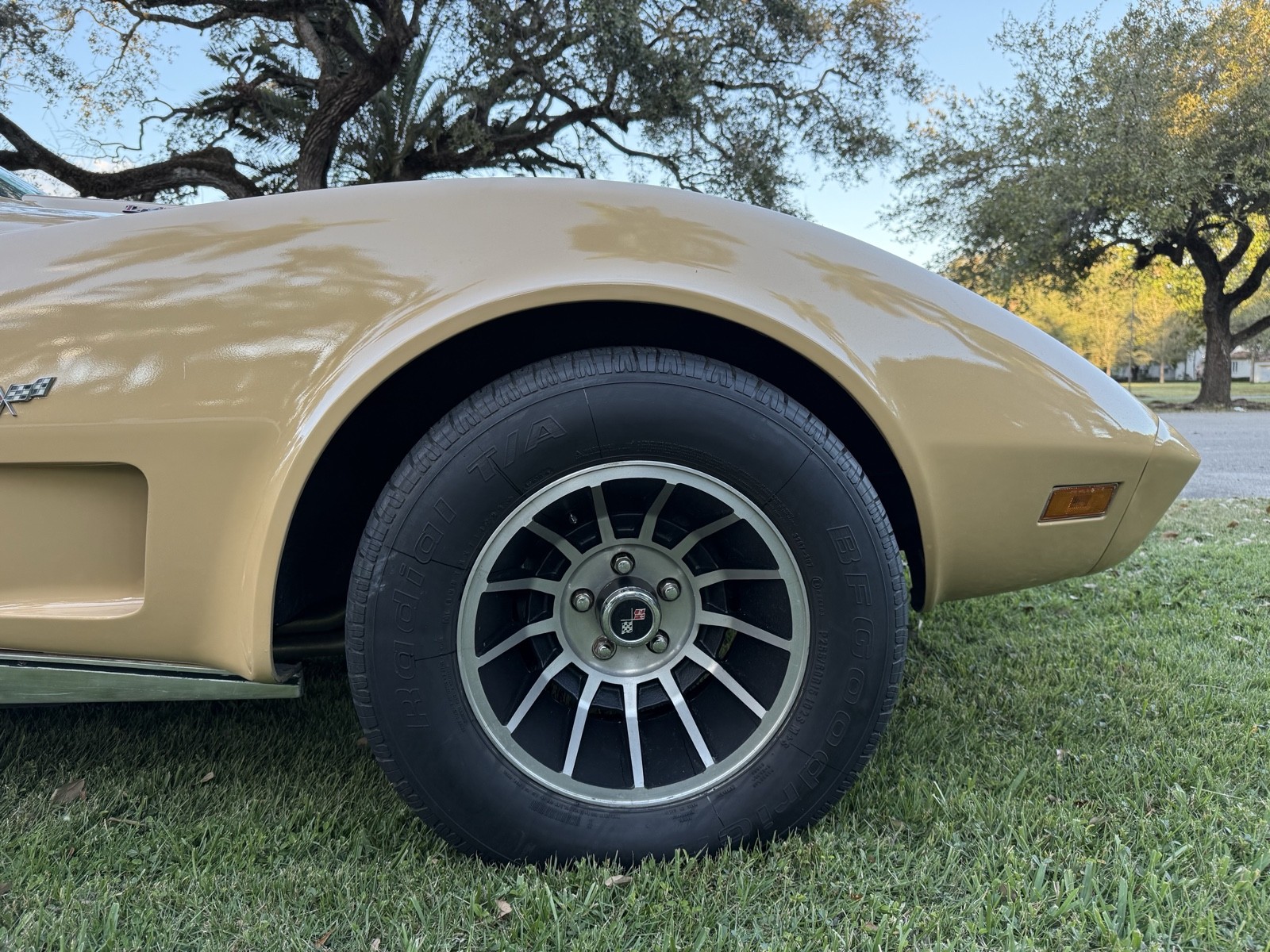 Chevrolet-Corvette-1977-9