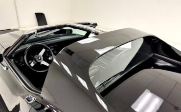 Chevrolet-Corvette-1977-Black-Black-29