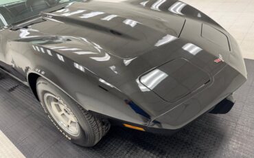 Chevrolet-Corvette-1977-Black-Black-44