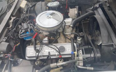 Chevrolet-Corvette-1977-White-Red-2