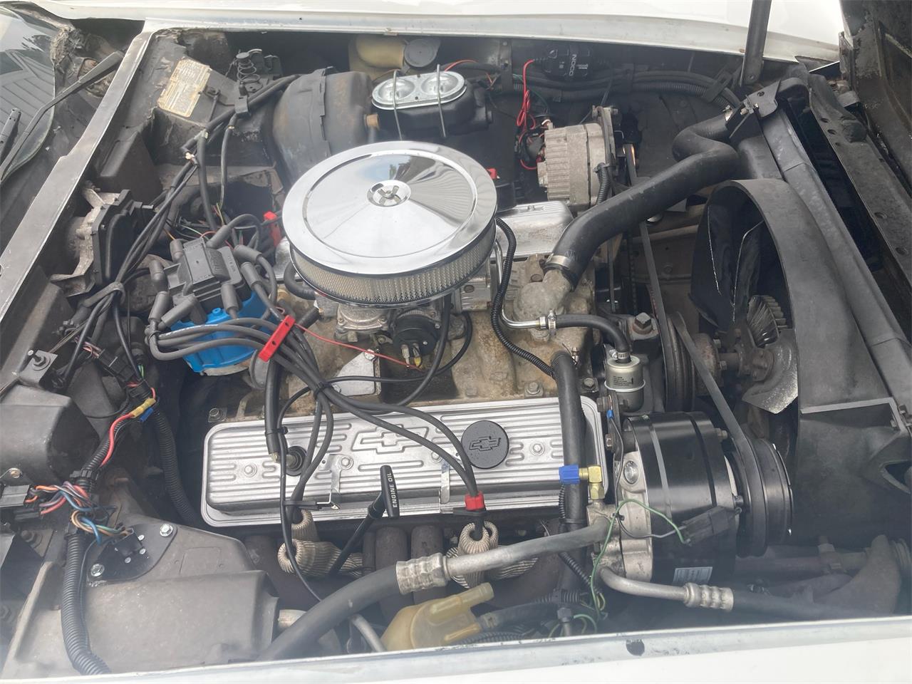 Chevrolet-Corvette-1977-White-Red-2