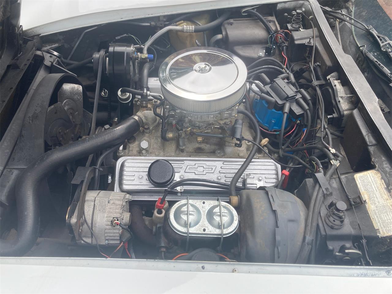 Chevrolet-Corvette-1977-White-Red-3